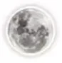 Dark Academia No. 16 sticker