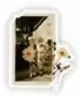Dark Academia No. 18 sticker