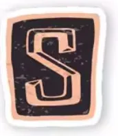 Letter S sticker