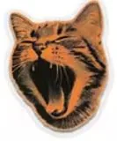 Screaming cat sticker